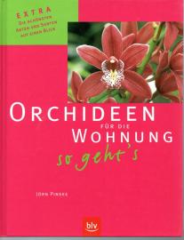 Orchideen für die Wohnung – so geht's: Extra: Die schönsten Arten und Sorten auf einen Blick