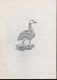 Die Liebesgeschichte einer Wildgans 