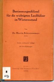 Bestimmungsschlüssel für die wichtigsten Laubhölzer im Winterzustand.